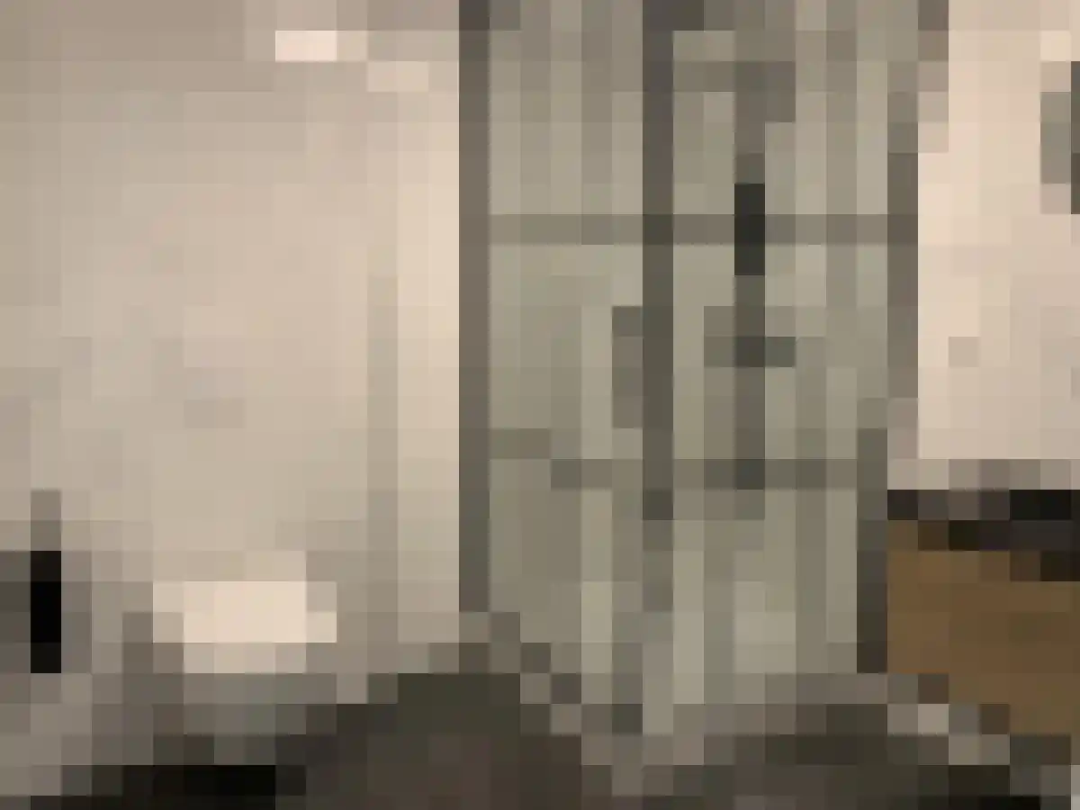 Wijnstraat 36 Dordrecht thumbnail 6