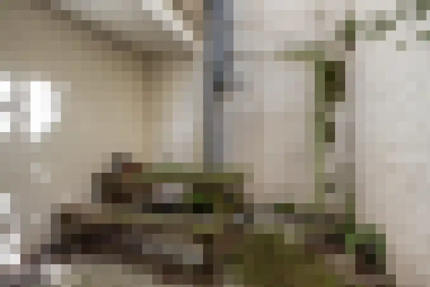 Wijnstraat 38 Dordrecht thumbnail 23