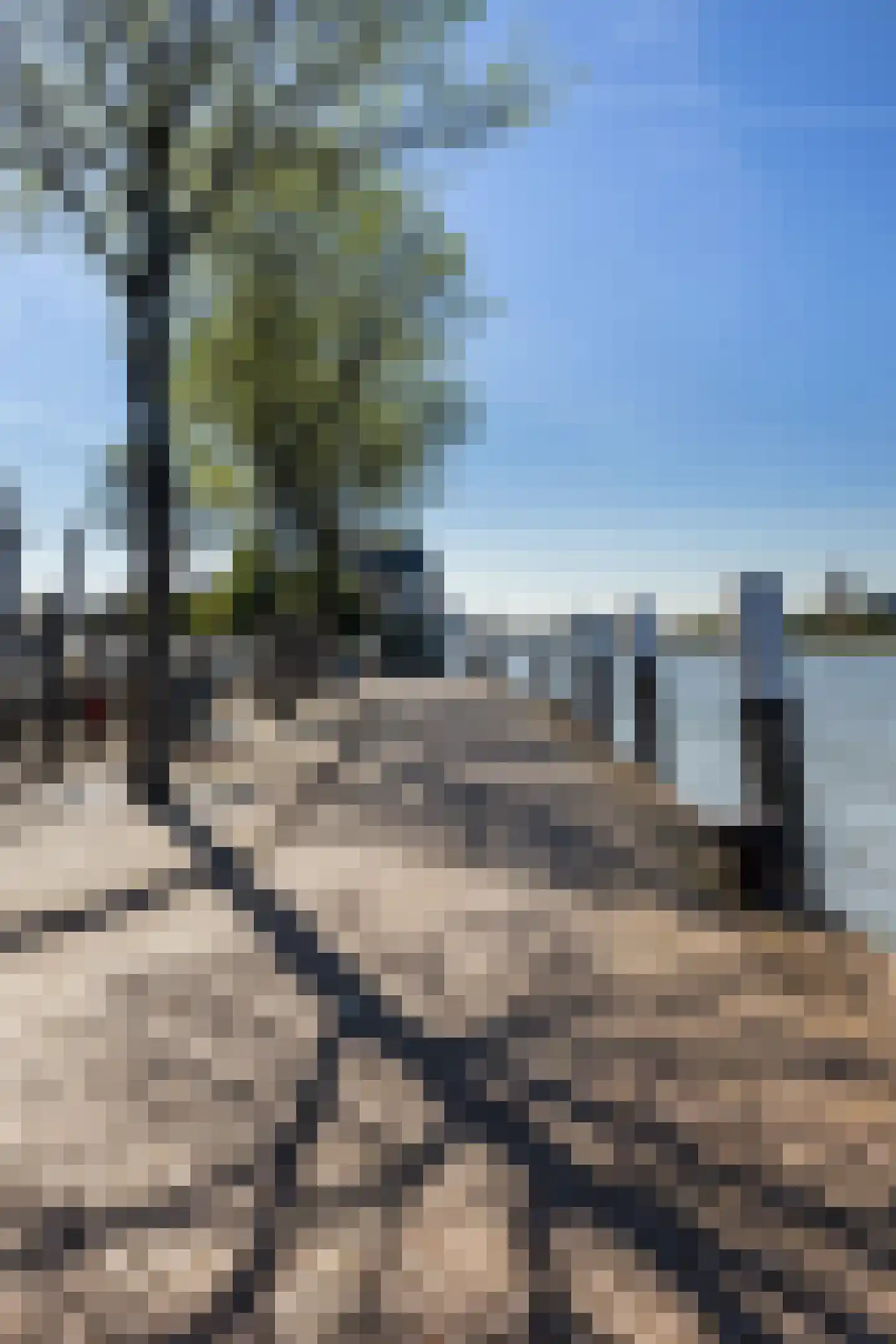 Wijnstraat 38 Dordrecht thumbnail 33