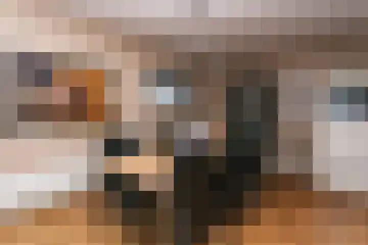 Wijnstraat 65 Echt thumbnail 10