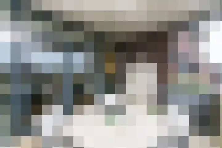 Wijnstraat 65 Echt thumbnail 31