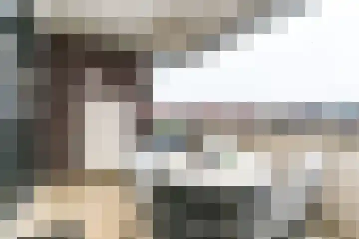 Wijnstraat 65 Echt thumbnail 32