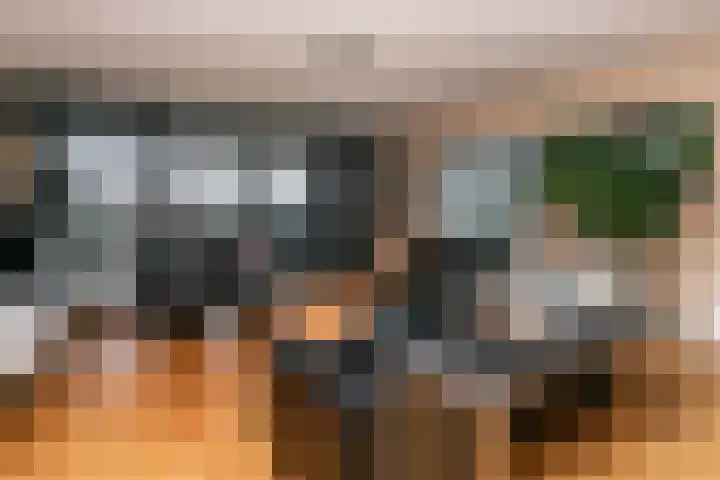 Wijnstraat 65 Echt thumbnail 7