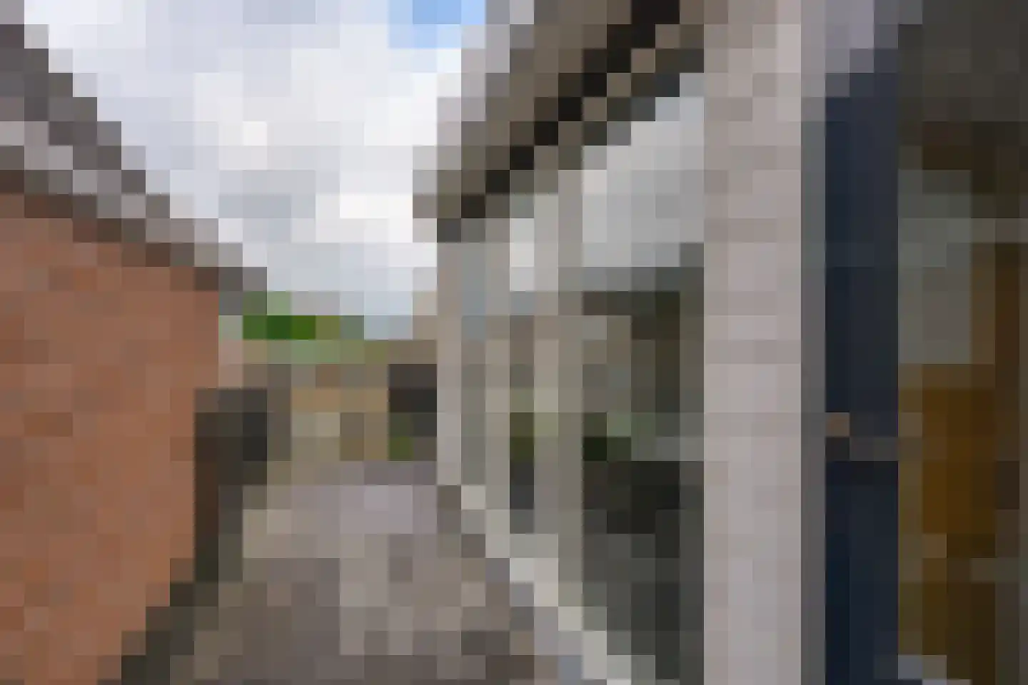 Wijnstraat 67 Dordrecht thumbnail 29