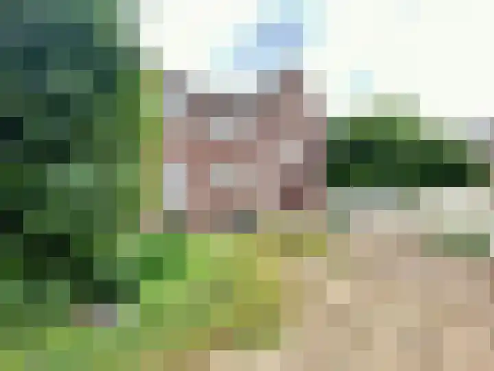Wijnstraat 68 Echt thumbnail 31