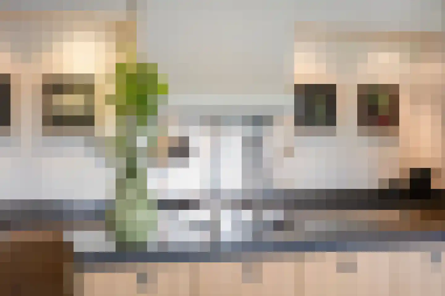 Wijnstraat 73 Echt thumbnail 30