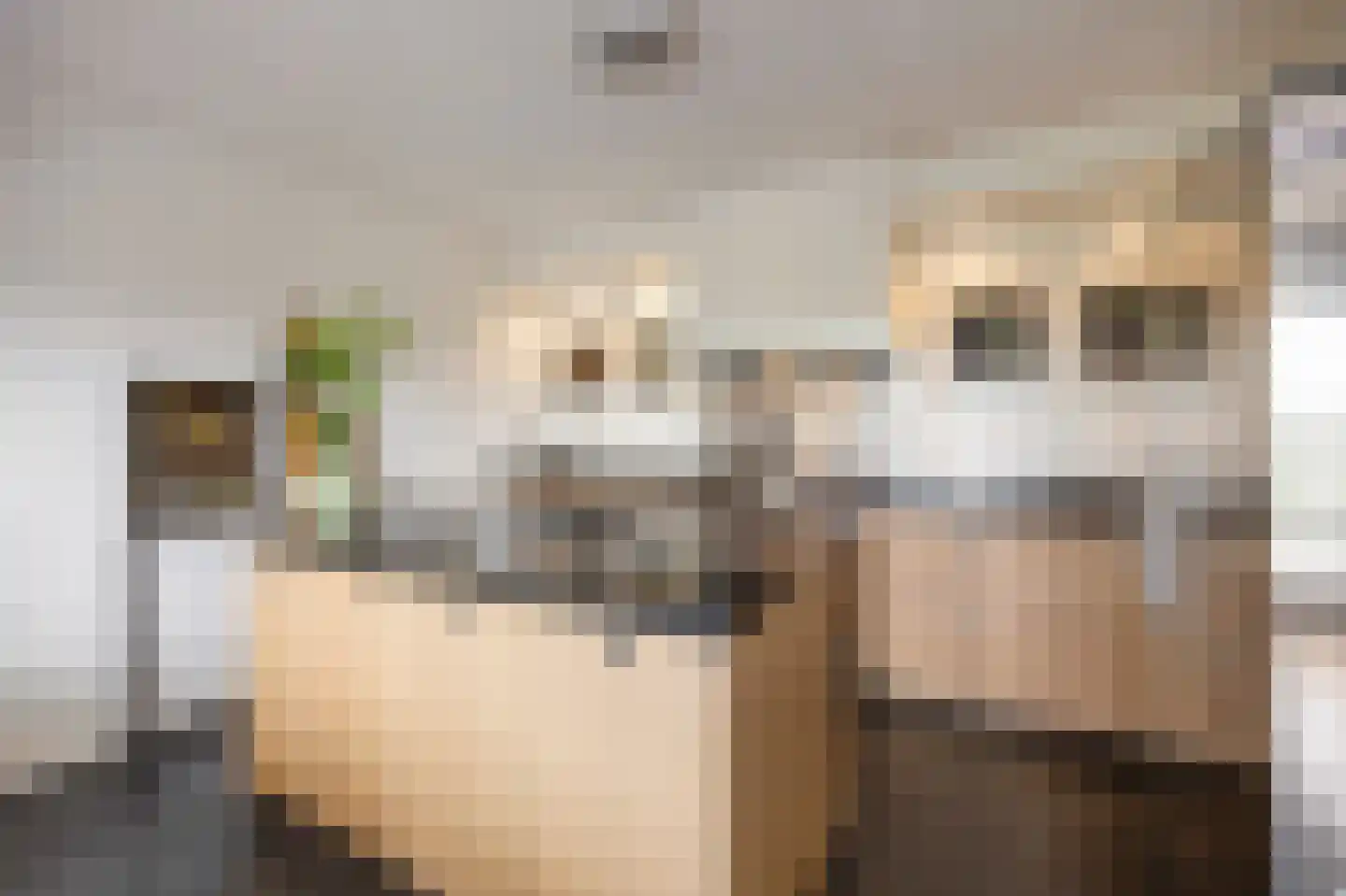Wijnstraat 73 Echt thumbnail 31