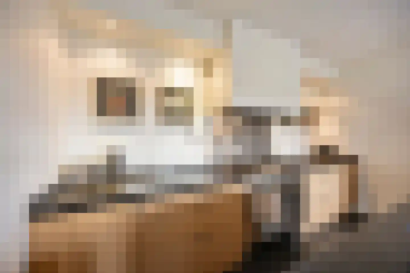 Wijnstraat 73 Echt thumbnail 32