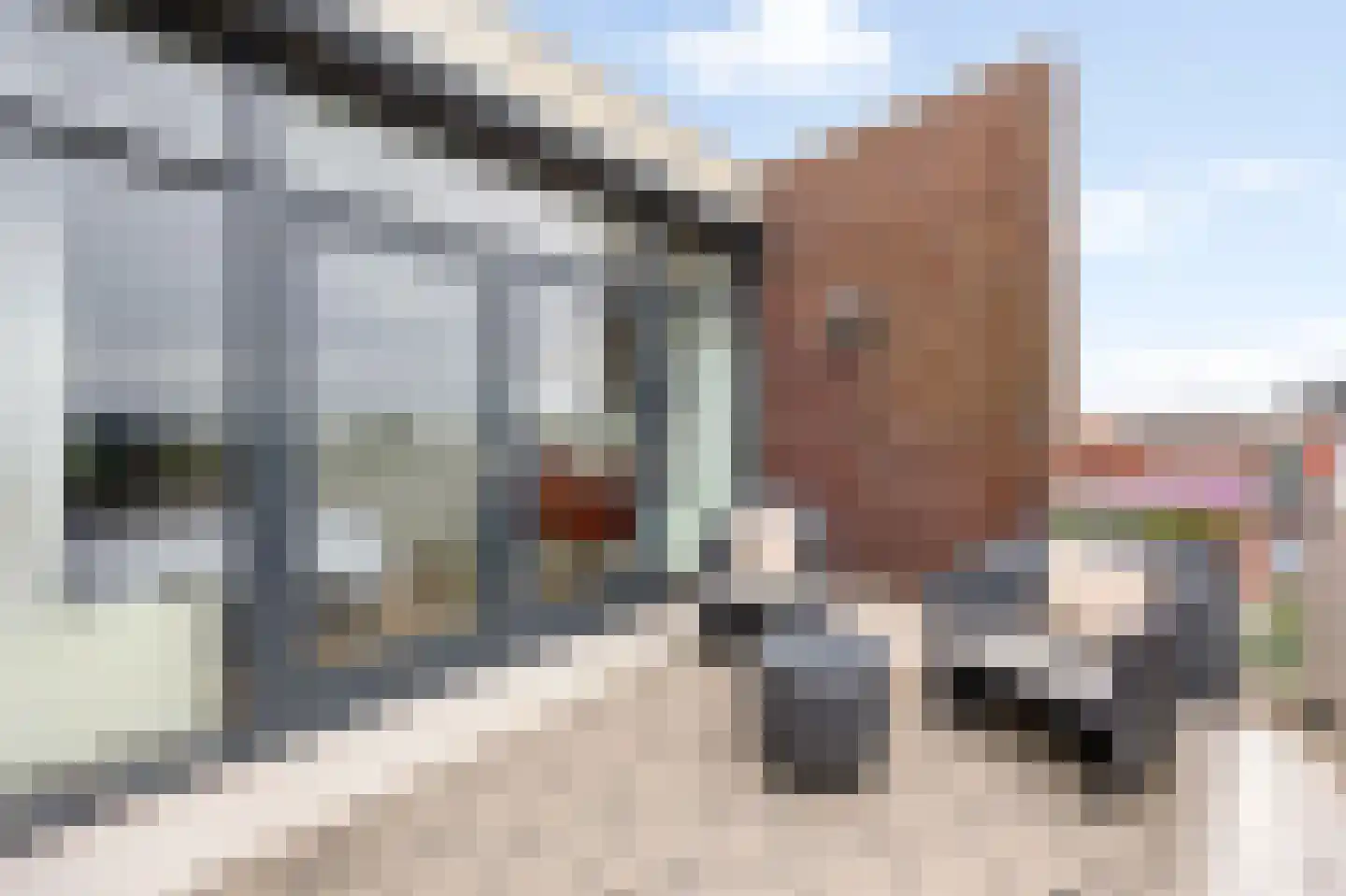 Wijnstraat 73 Echt thumbnail 47