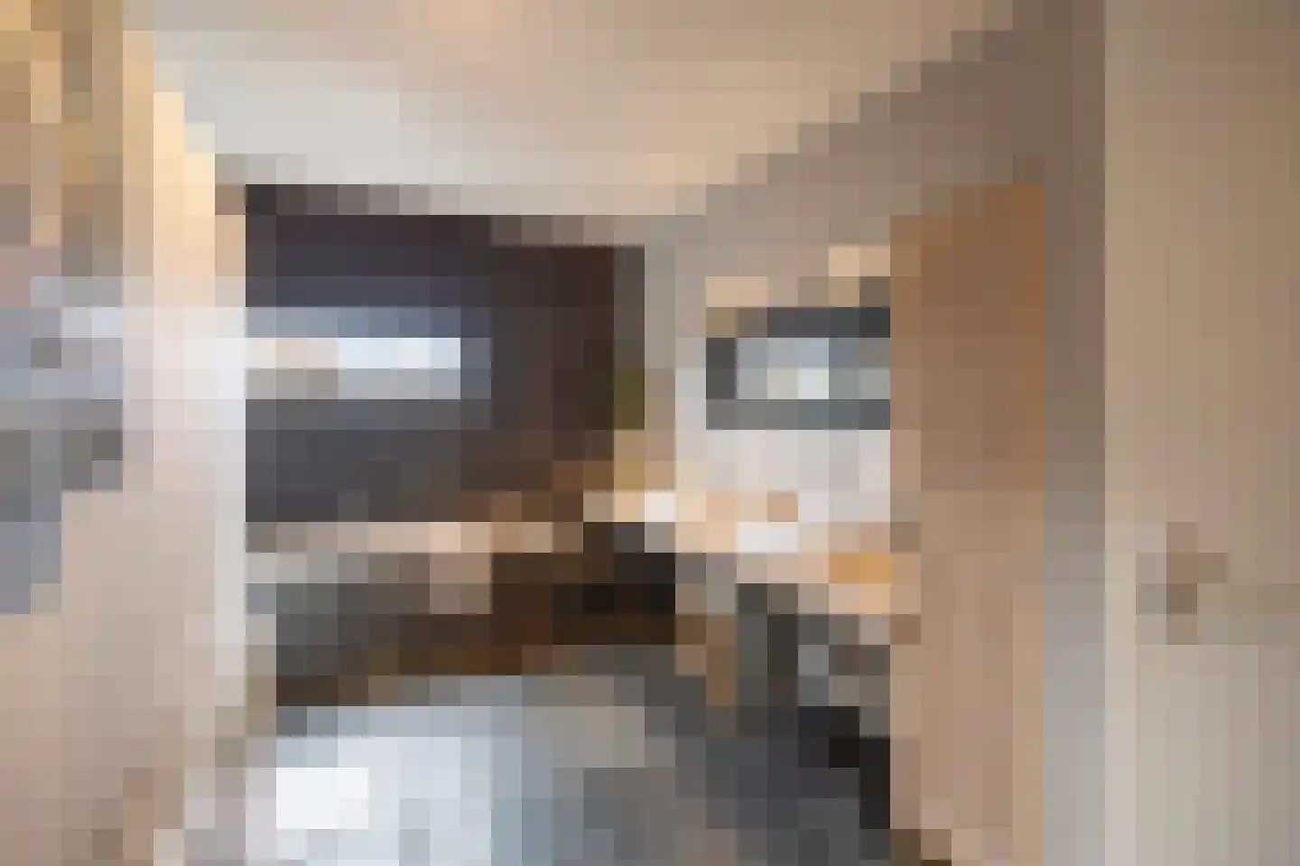 Wijnstraat 73 Echt thumbnail 49