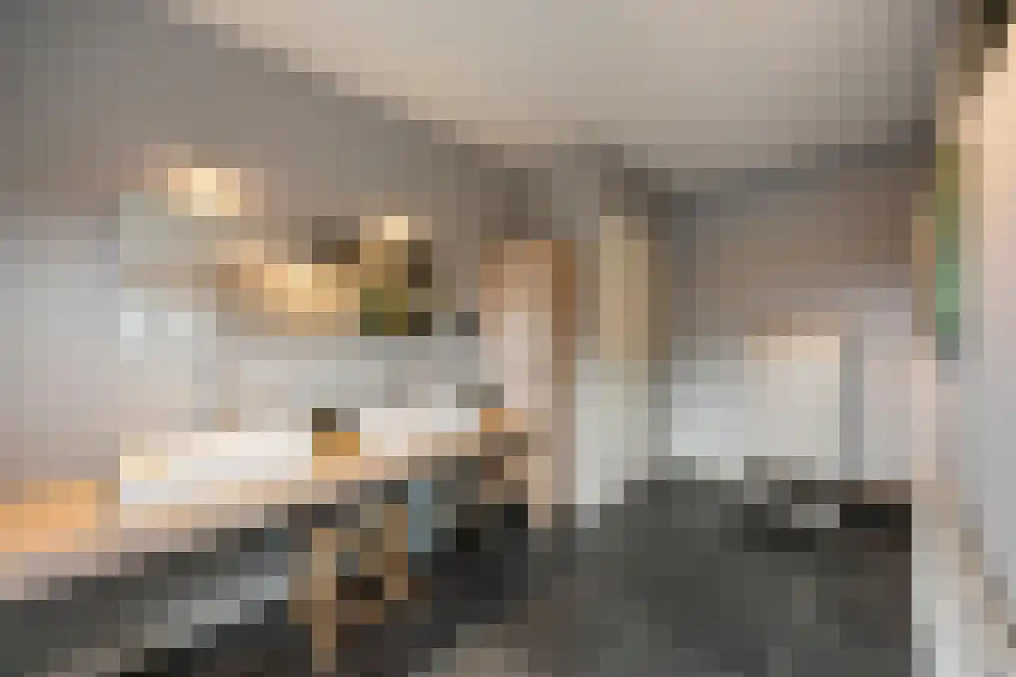 Wijnstraat 73 Echt thumbnail 50