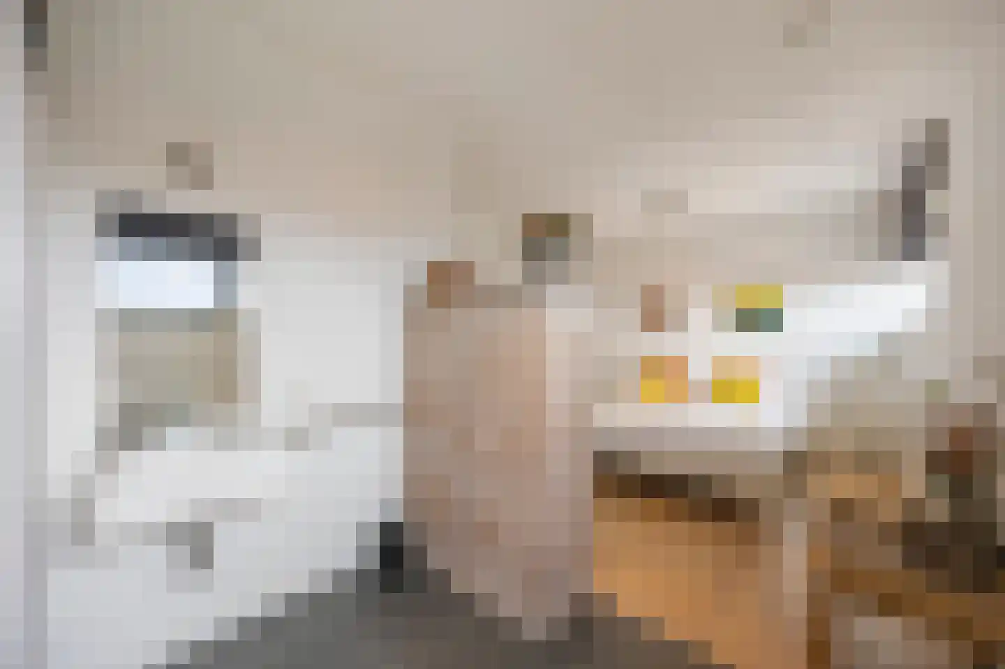 Wijnstraat 73 Echt thumbnail 58