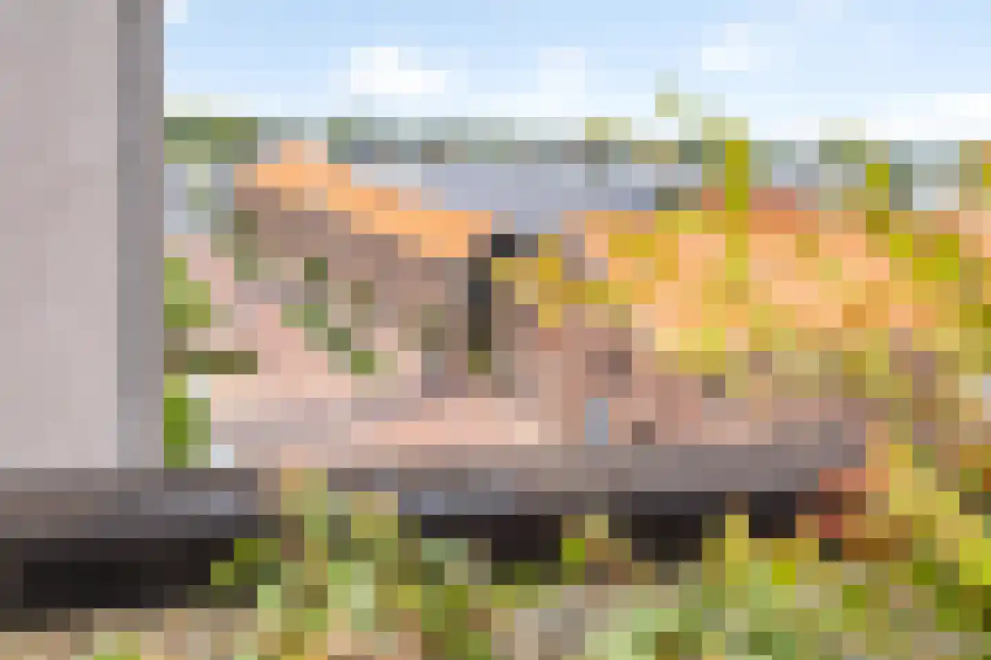 Wijnstraat 73 Echt thumbnail 61