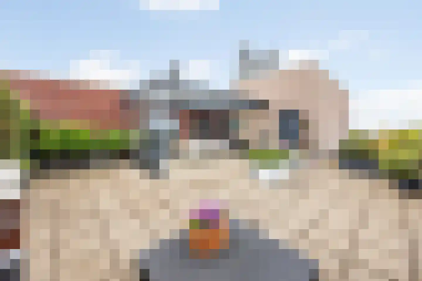 Wijnstraat 73 Echt thumbnail 69