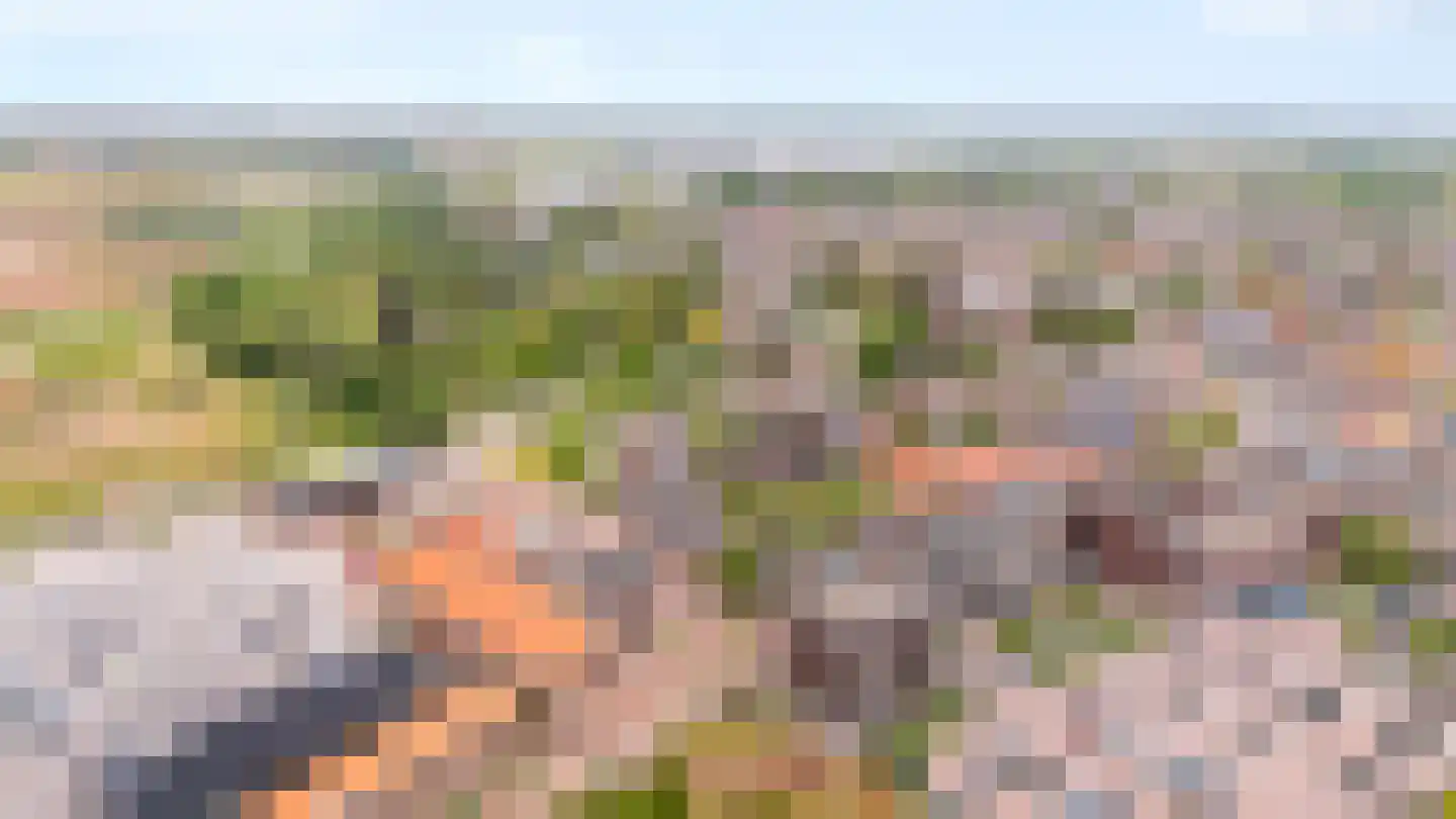 Wijnstraat 73 Echt thumbnail 76
