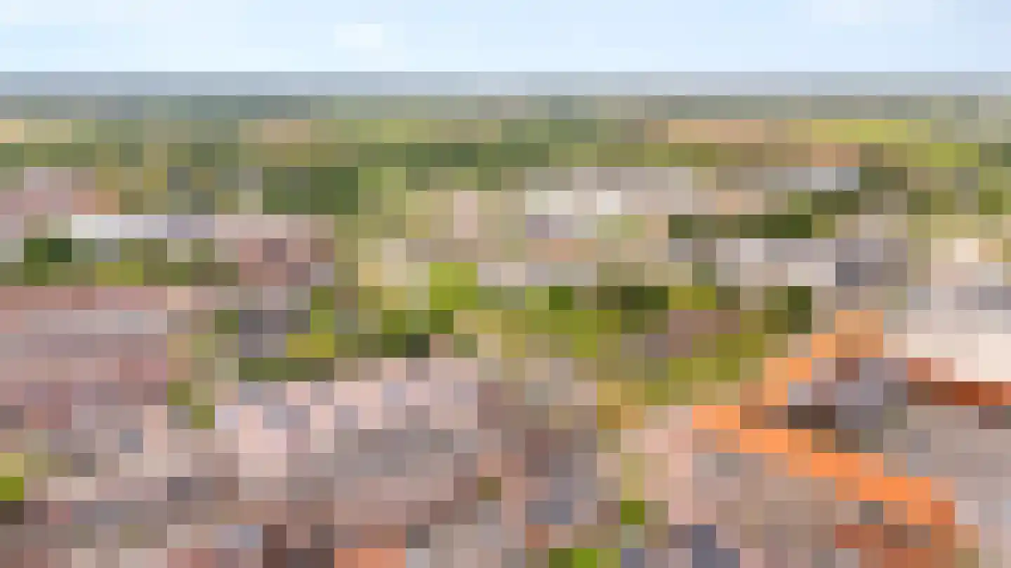 Wijnstraat 73 Echt thumbnail 77