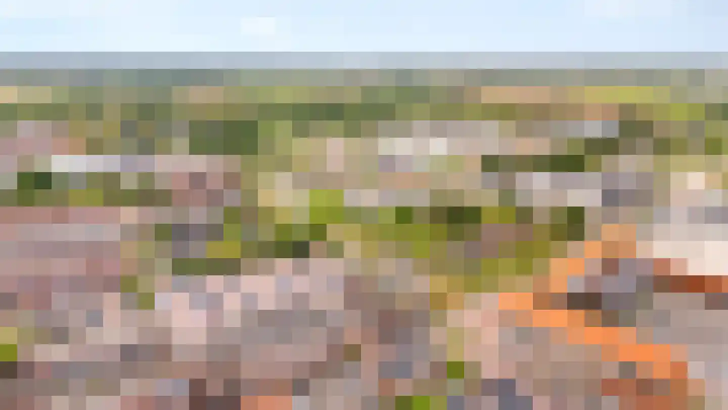 Wijnstraat 73 Echt thumbnail 77
