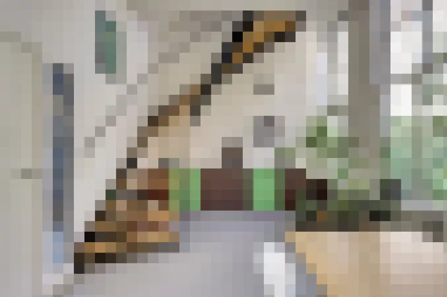 Wijnstraat 83 Dordrecht thumbnail 38