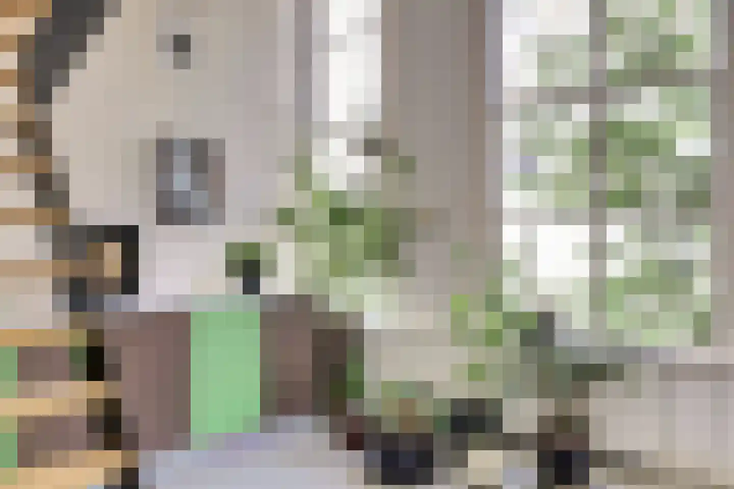Wijnstraat 83 Dordrecht thumbnail 44