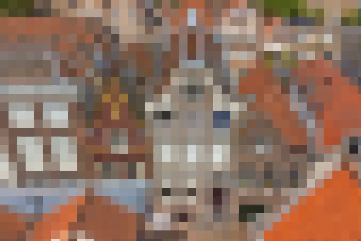 Wijnstraat 83 Dordrecht thumbnail 60