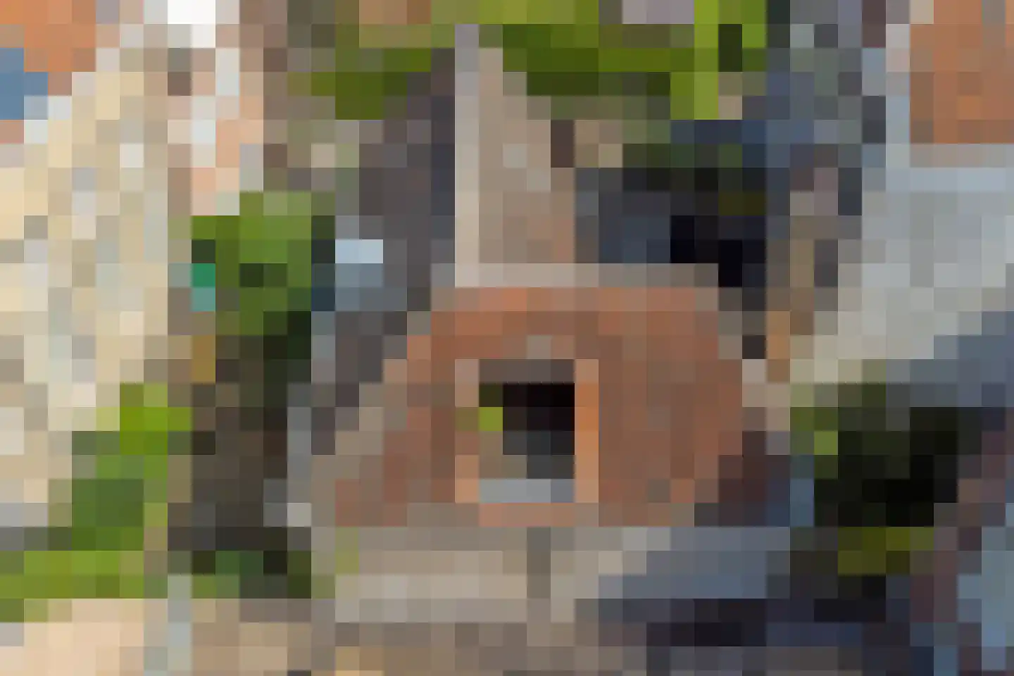 Wijnstraat 83 Dordrecht thumbnail 69