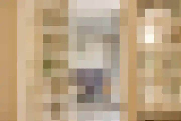 Wijntjeskamp 15 Oldenzaal thumbnail 10