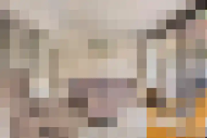 Wijntjeskamp 15 Oldenzaal thumbnail 11