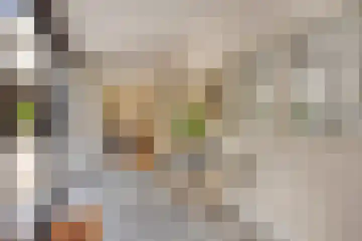 Wijntjeskamp 15 Oldenzaal thumbnail 12