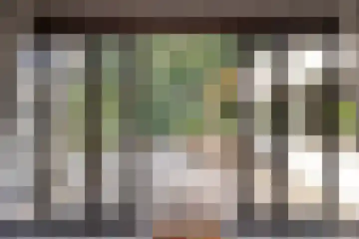 Wijntjeskamp 15 Oldenzaal thumbnail 14