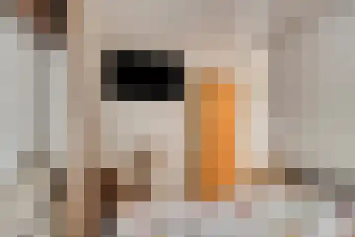 Wijntjeskamp 15 Oldenzaal thumbnail 17