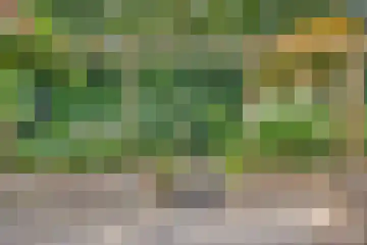 Wijntjeskamp 15 Oldenzaal thumbnail 23