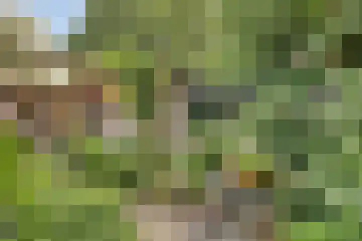 Wijntjeskamp 15 Oldenzaal thumbnail 24