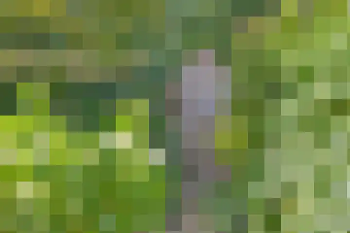 Wijntjeskamp 15 Oldenzaal thumbnail 26