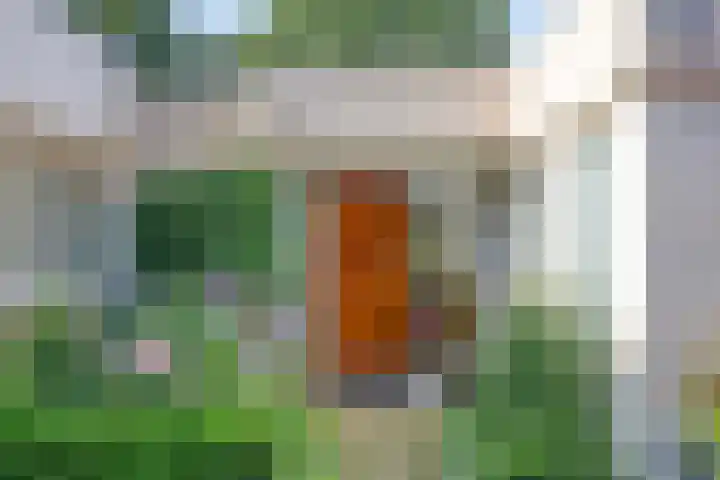 Wijntjeskamp 15 Oldenzaal thumbnail 27
