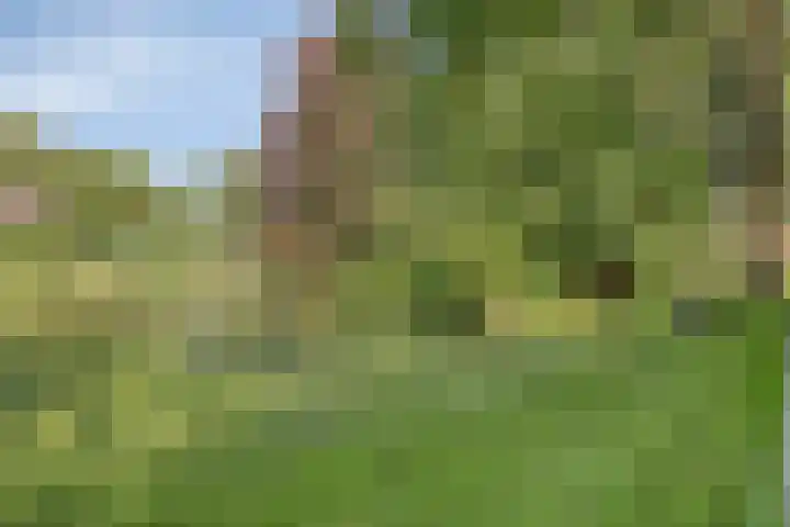 Wijntjeskamp 15 Oldenzaal thumbnail 29