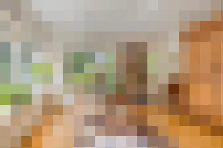 Wijntjeskamp 15 Oldenzaal thumbnail 7