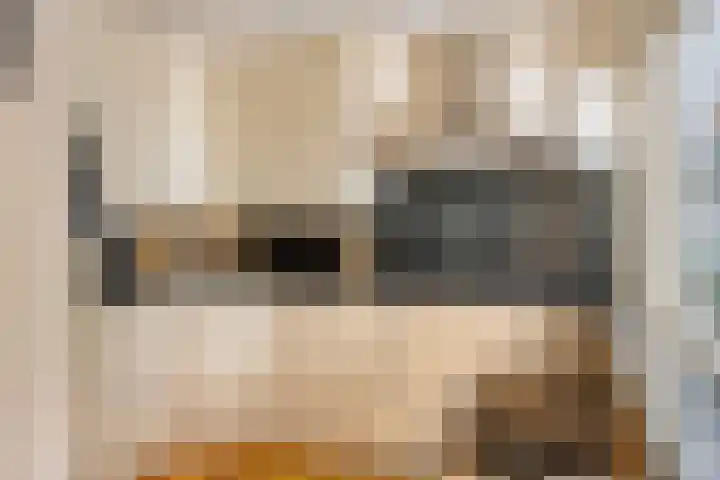 Wijntjeskamp 15 Oldenzaal thumbnail 8