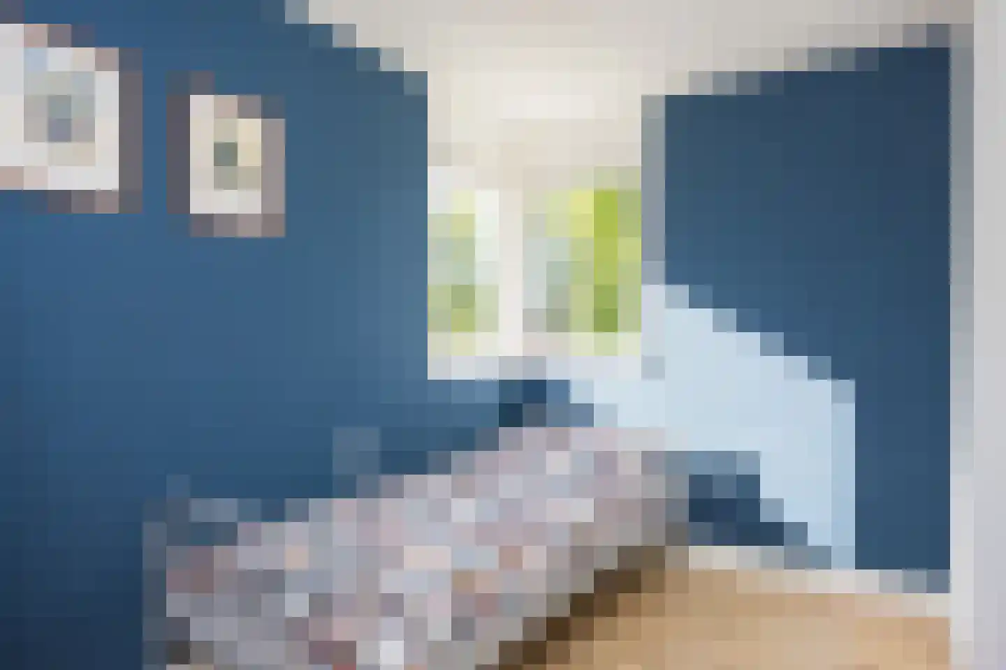 Wijntjeskamp 19 Oldenzaal thumbnail 20
