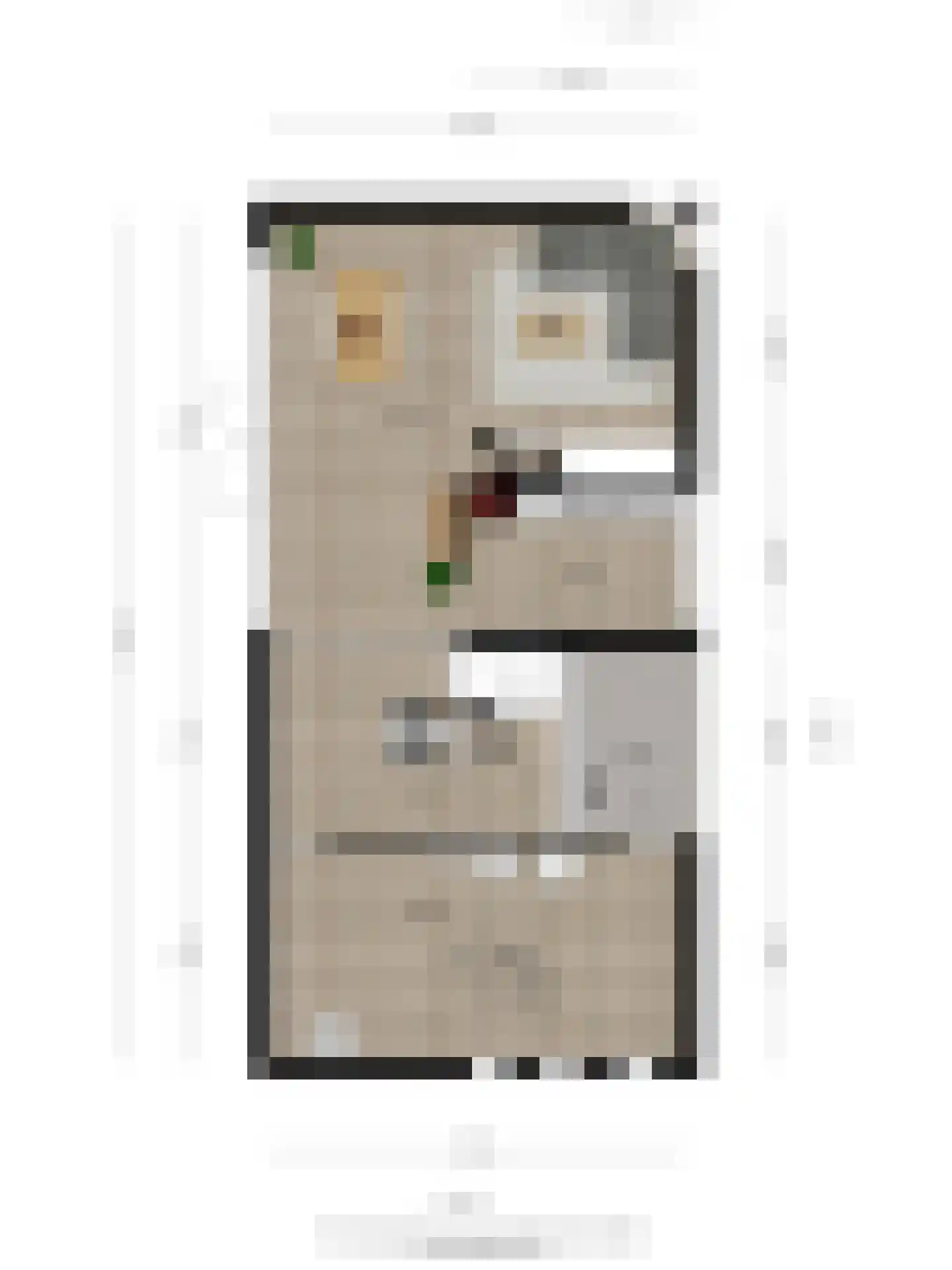 Wijntjeskamp 19 Oldenzaal thumbnail 33