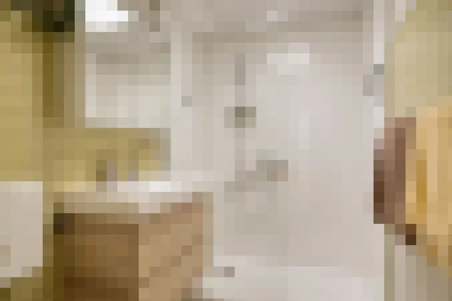 Wijntjeskamp 24 Oldenzaal thumbnail 21