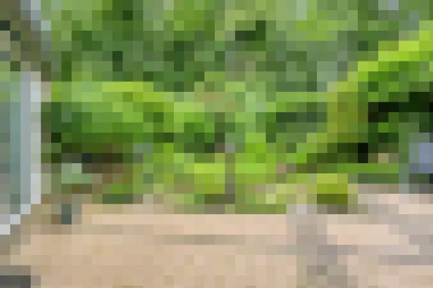 Wijntjeskamp 24 Oldenzaal thumbnail 23