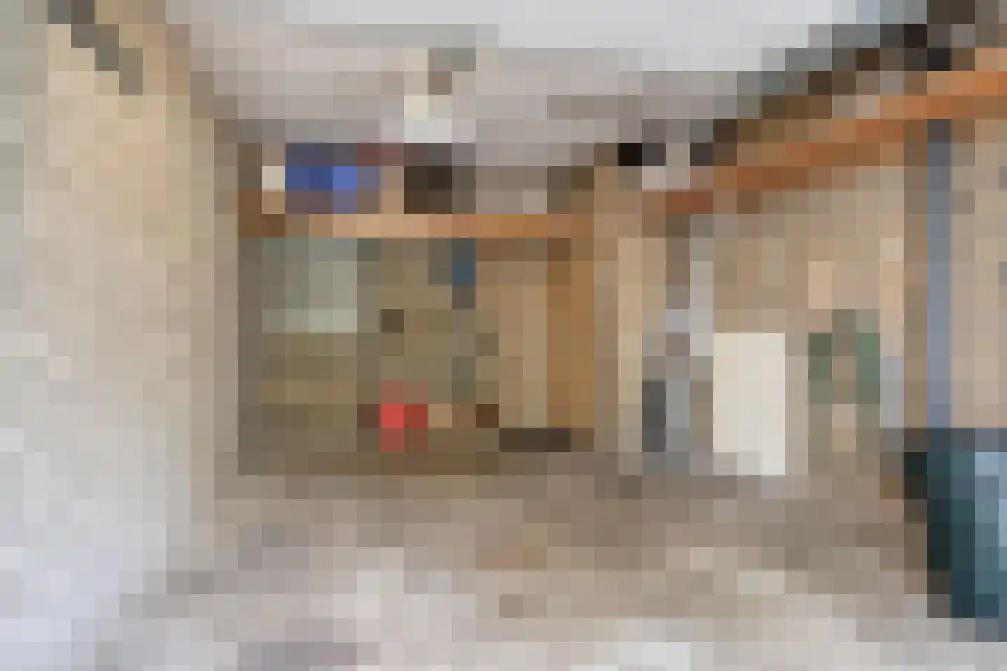 Wijntjeskamp 24 Oldenzaal thumbnail 25