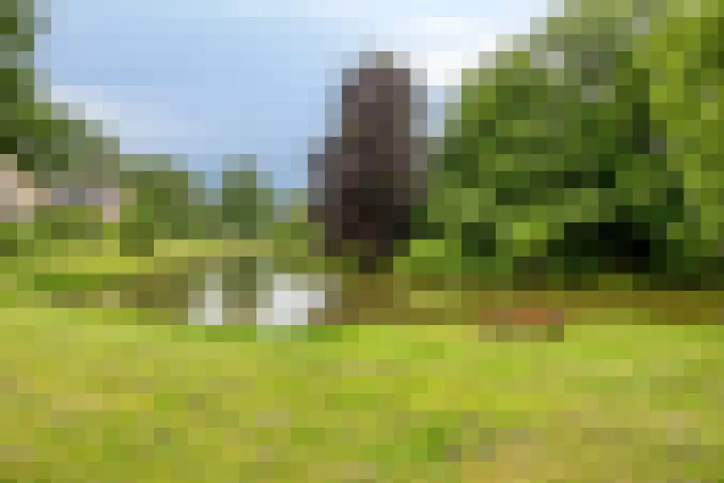 Wijntjeskamp 24 Oldenzaal thumbnail 30