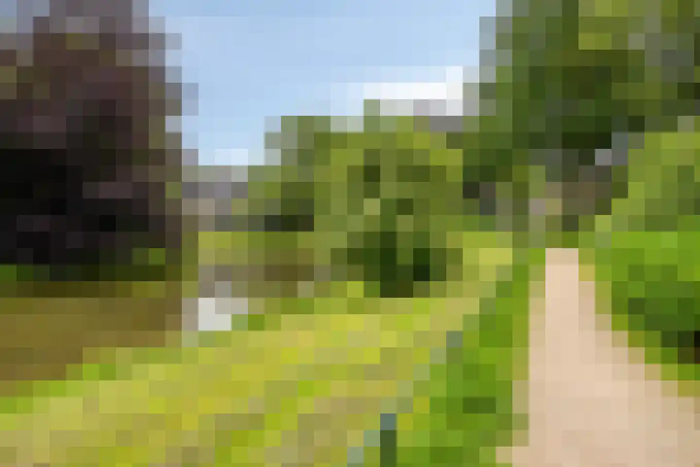 Wijntjeskamp 24 Oldenzaal thumbnail 31