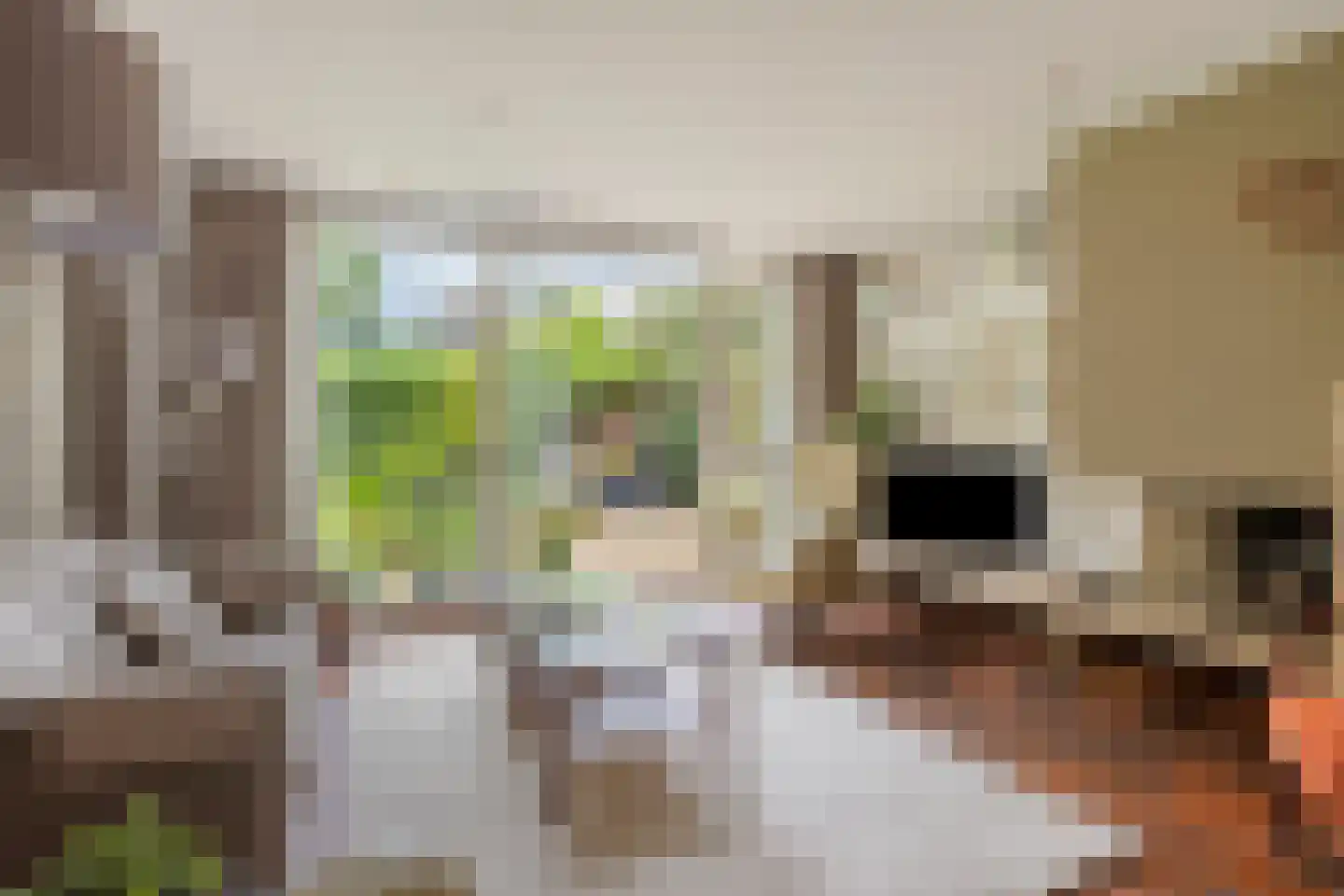 Wijntjeskamp 24 Oldenzaal thumbnail 5
