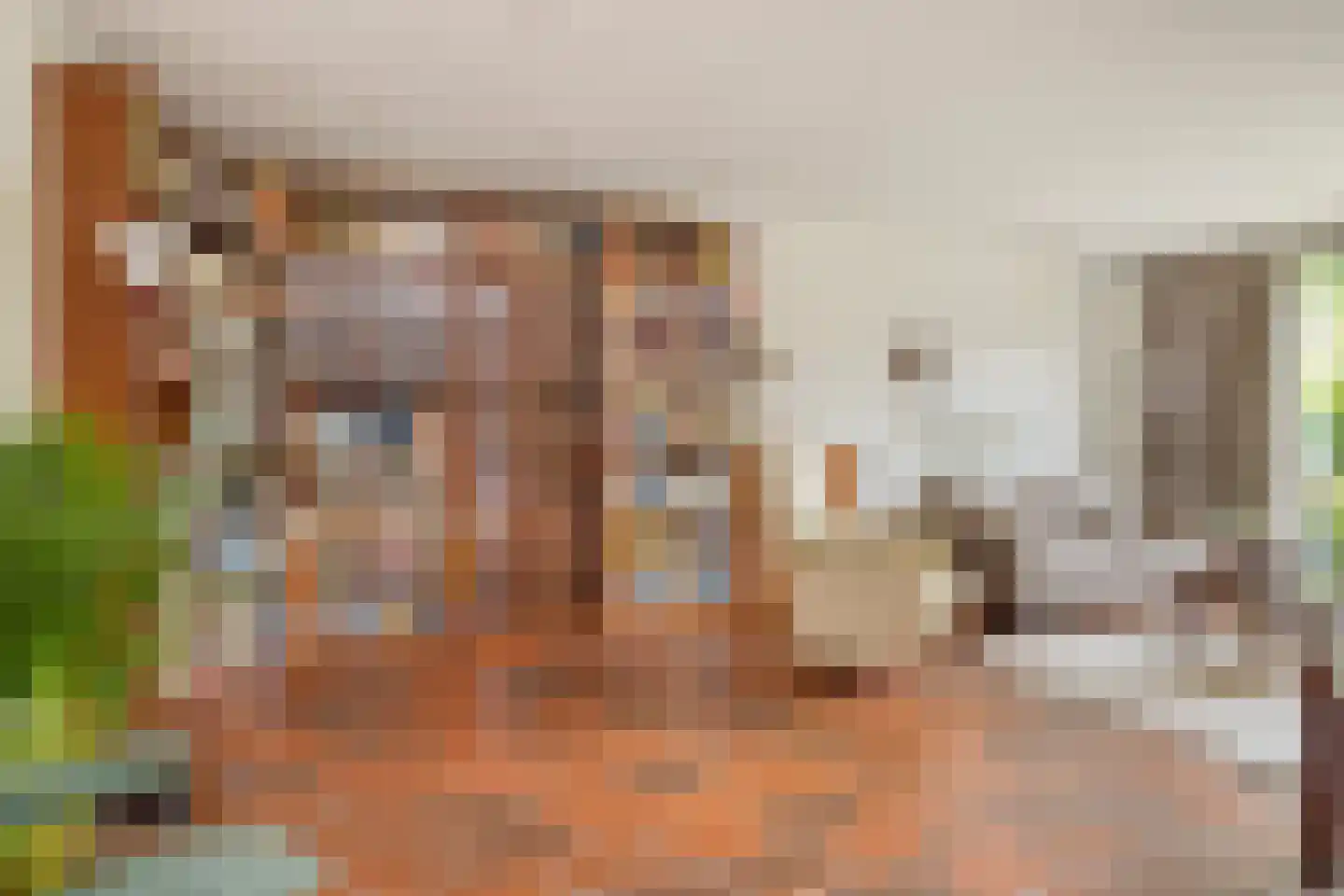 Wijntjeskamp 24 Oldenzaal thumbnail 7