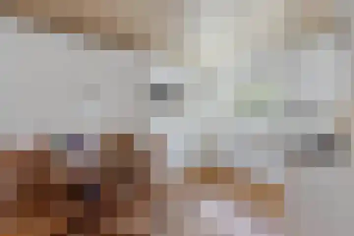 Wijntjeskamp 5 Oldenzaal thumbnail 11