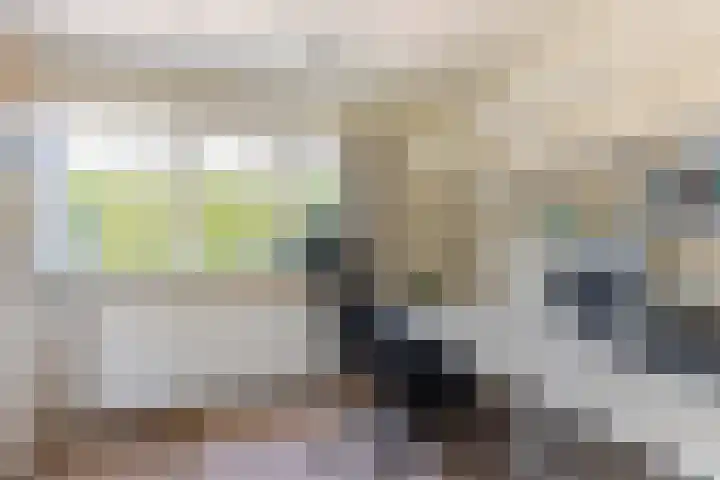 Wijntjeskamp 5 Oldenzaal thumbnail 15