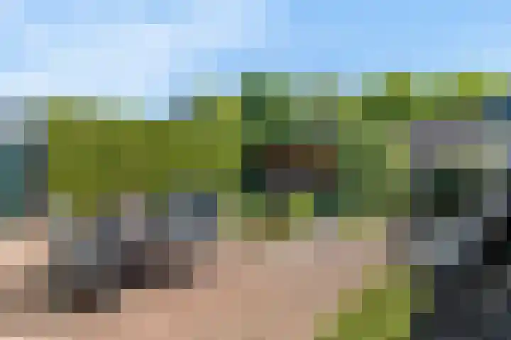 Wijntjeskamp 5 Oldenzaal thumbnail 18