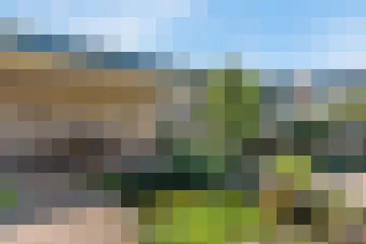 Wijntjeskamp 5 Oldenzaal thumbnail 20